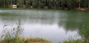 Ożarowskie „morskie oko” - perełka wśród lasów Nadleśnictwa Wieluń